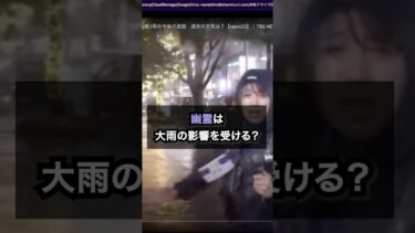 【七四六家】大雨の中でも不敵に笑う幽霊