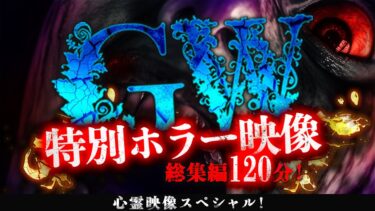【ホラーチャンネル】【YouTube限定総集編】心霊映像スペシャル！GW特別ホラー映像総集編120分！