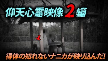 【ホラーチャンネル】【期間限定公開】得体の知れないナニカが映り込んだ！仰天心霊映像2編