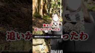 【七四六家】ゴミのポイ捨てをすると幽霊に追いかけられる