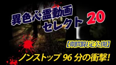 【ホラーチャンネル】【期間限定公開】異色心霊動画セレクト20　ノンストップ96分の衝撃！